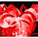 Petali rosa