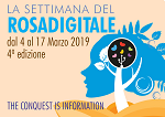 Rosadigitale 19