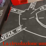 circolazione del sangue