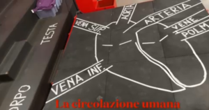 circolazione del sangue